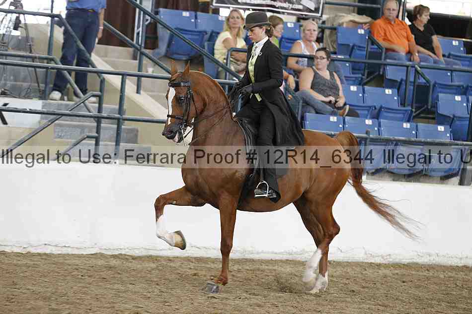 Proof 12r14_6344