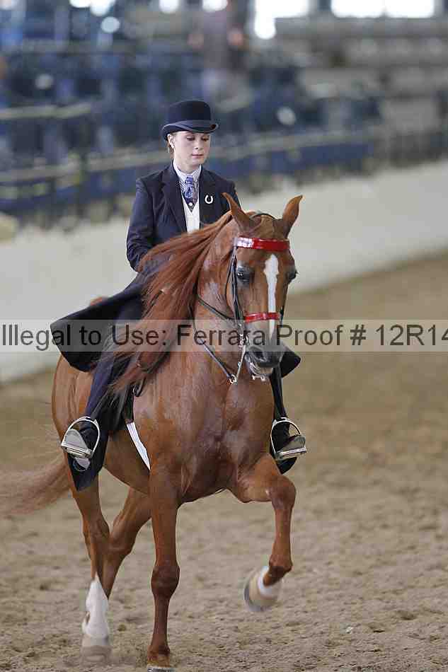 Proof 12r14_6348