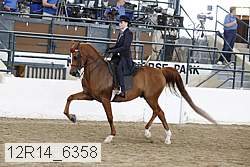 12r14_6358 proof