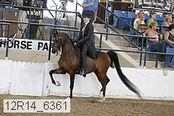 12r14_6361 proof