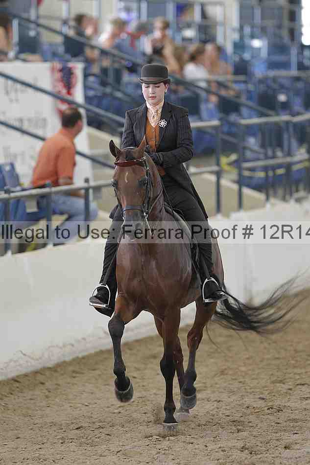 Proof 12r14_6366
