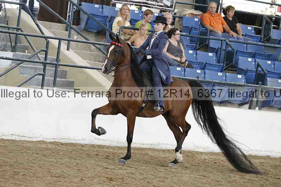 Proof 12r14_6367