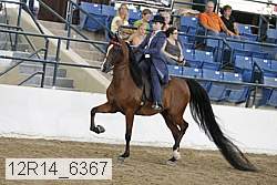12r14_6367 proof