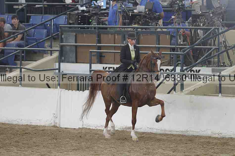 Proof 12r14_6380