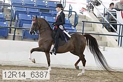 12r14_6387 proof