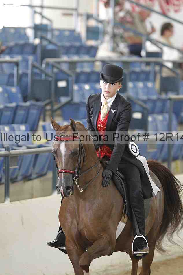 Proof 12r14_6392