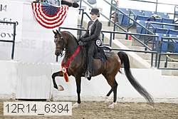 12r14_6394 proof