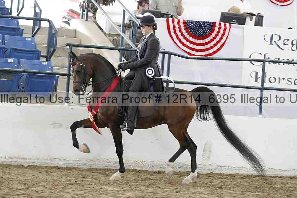 Proof 12r14_6395