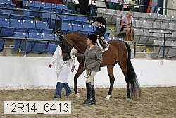 12r14_6413 proof