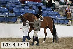 12r14_6414 proof