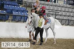 12r14_6418 proof