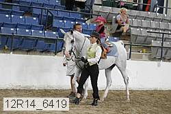 12r14_6419 proof