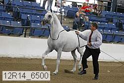 12r14_6500 proof