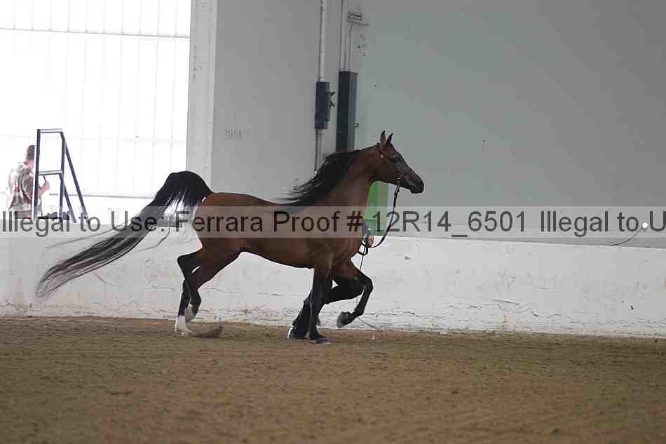 Proof 12r14_6501