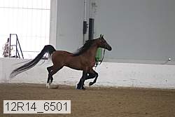 12r14_6501 proof