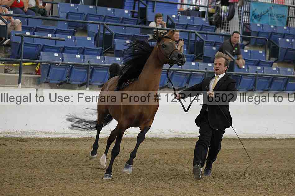 Proof 12r14_6502