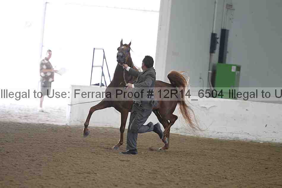 Proof 12r14_6504