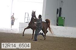 12r14_6504 proof