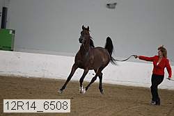12r14_6508 proof