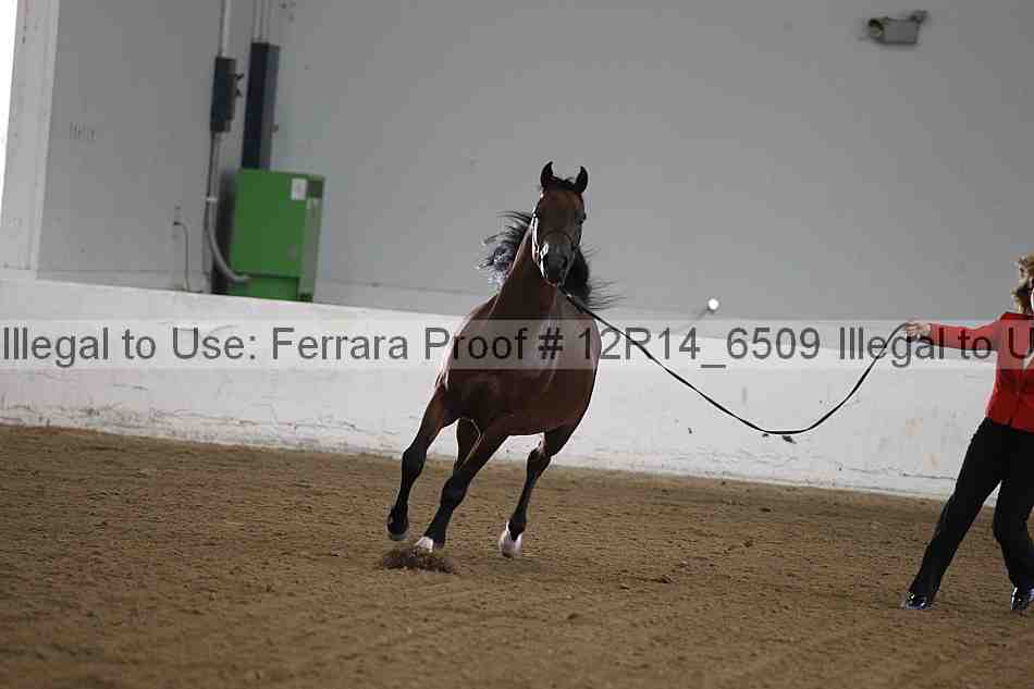 Proof 12r14_6509