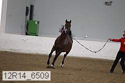 12r14_6509 proof