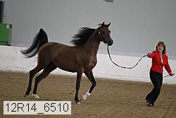 12r14_6510 proof