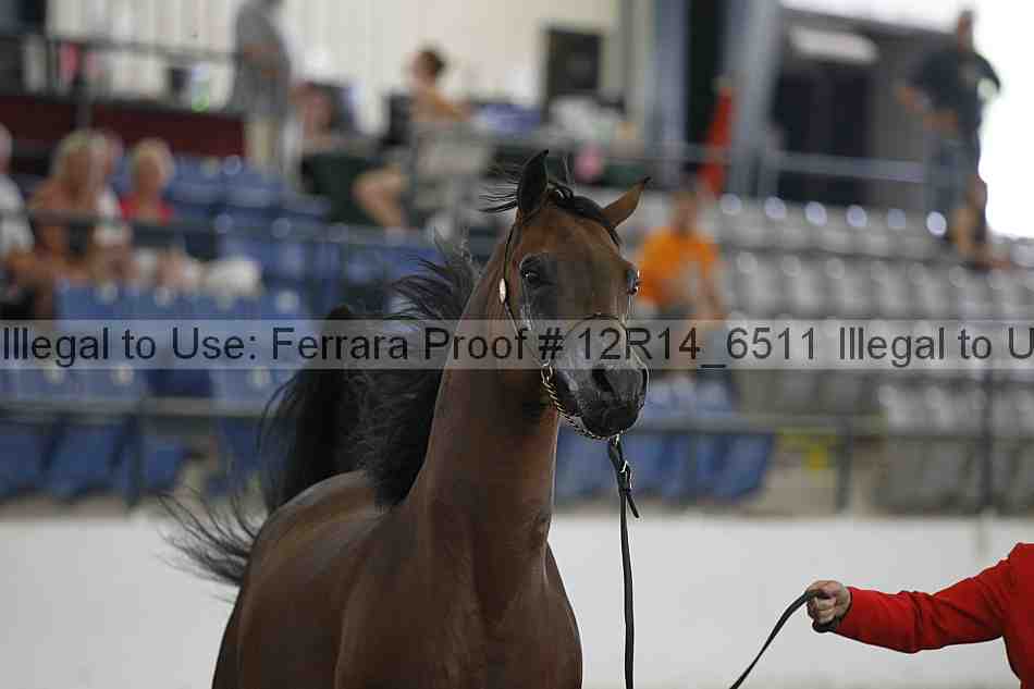Proof 12r14_6511
