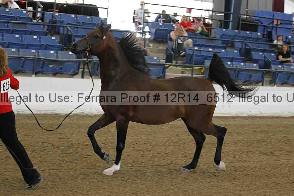 Proof 12r14_6512