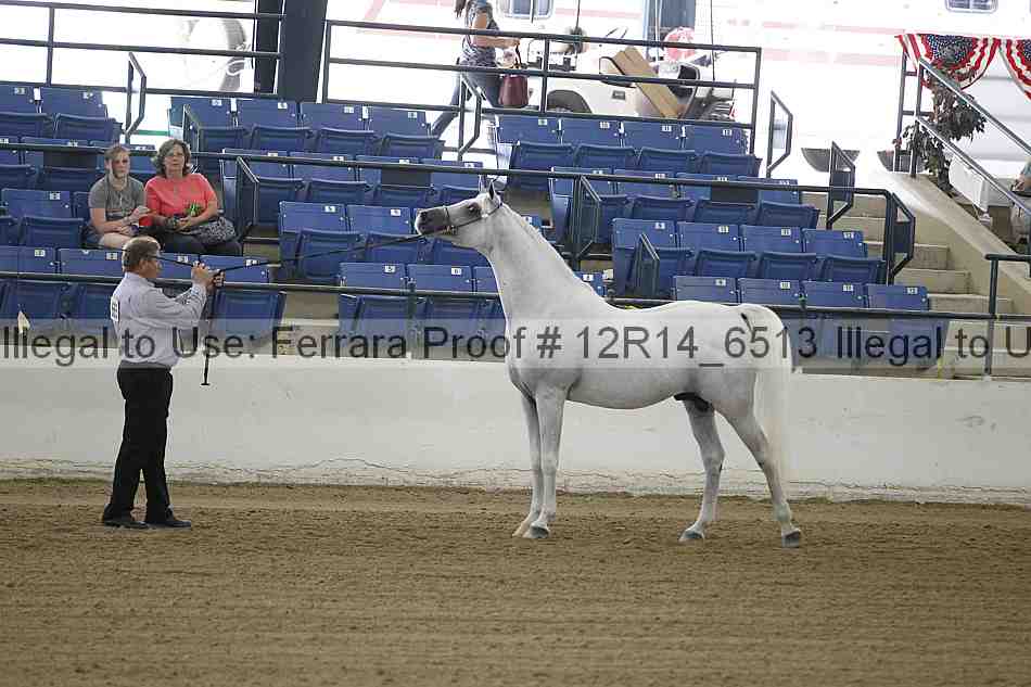 Proof 12r14_6513