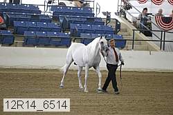 12r14_6514 proof