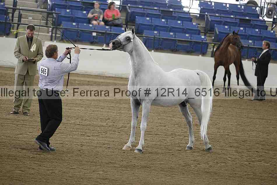 Proof 12r14_6516