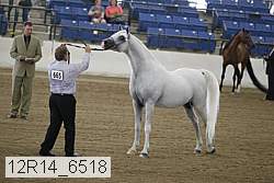 12r14_6518 proof