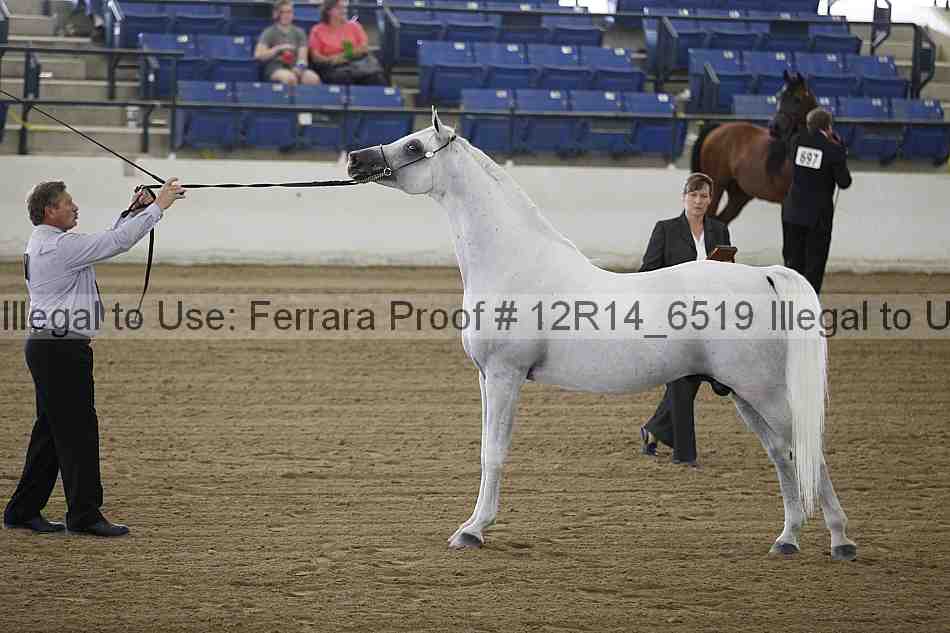 Proof 12r14_6519