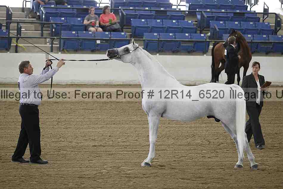 Proof 12r14_6520