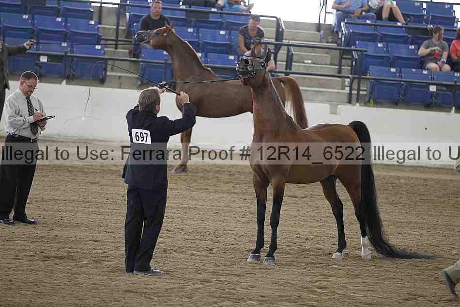 Proof 12r14_6522