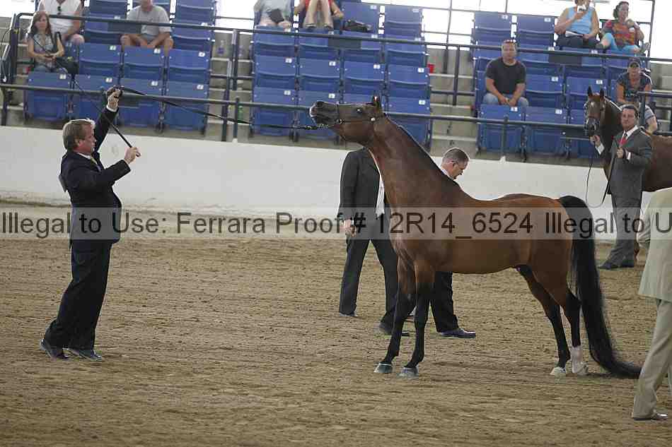 Proof 12r14_6524