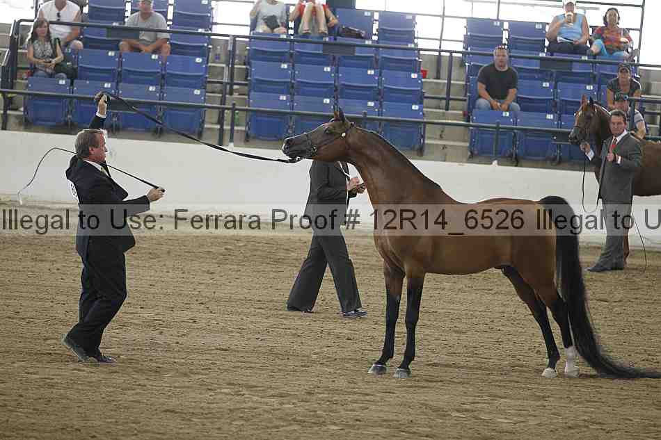 Proof 12r14_6526