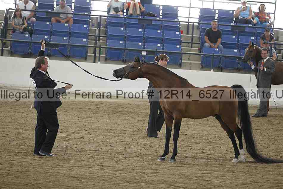 Proof 12r14_6527