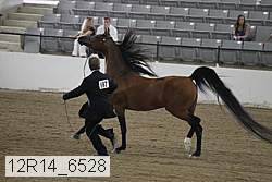 12r14_6528 proof