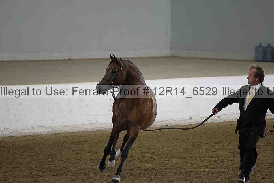 Proof 12r14_6529