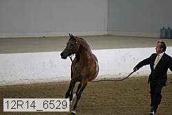 12r14_6529 proof