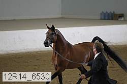 12r14_6530 proof