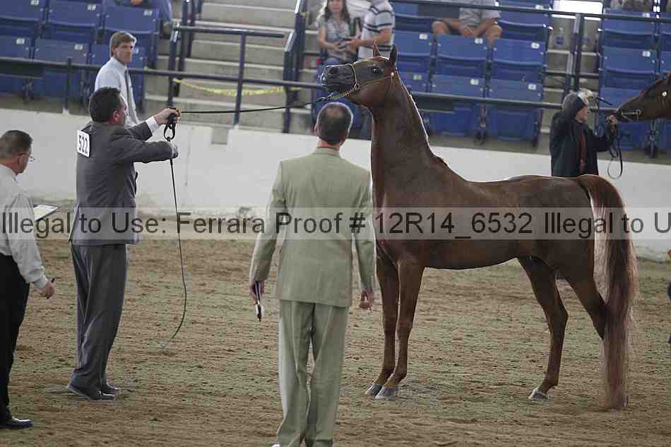 Proof 12r14_6532