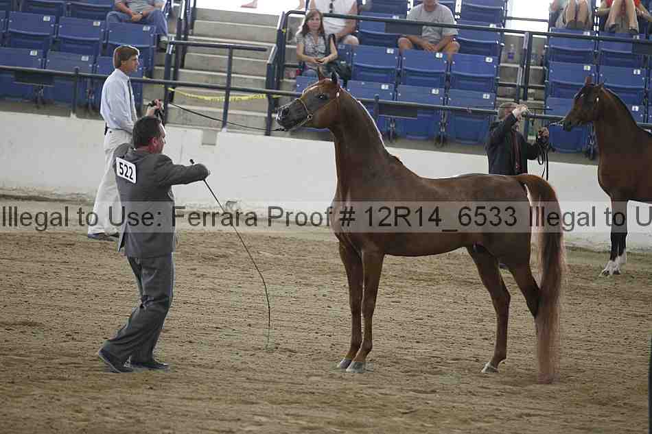Proof 12r14_6533