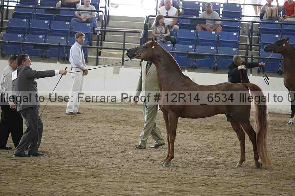 Proof 12r14_6534