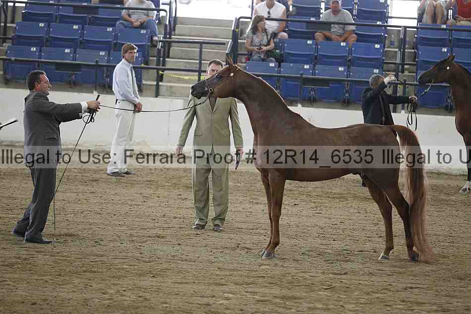 Proof 12r14_6535