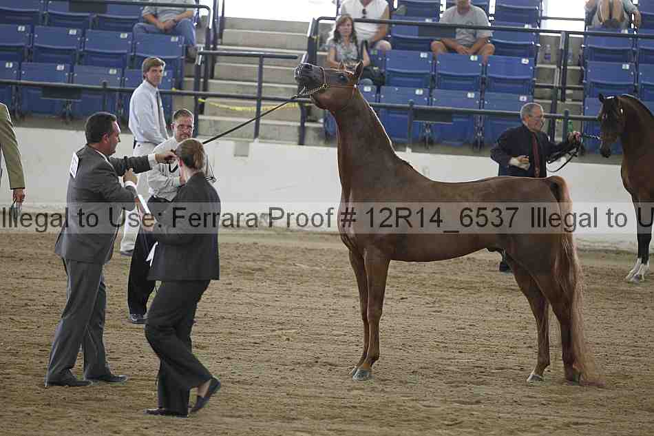 Proof 12r14_6537