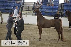 12r14_6537 proof