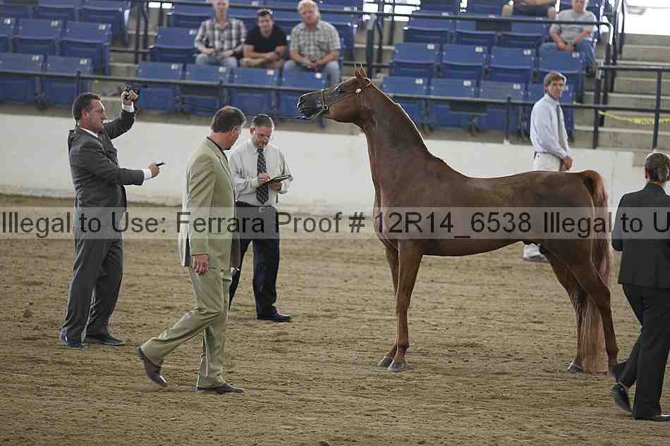 Proof 12r14_6538