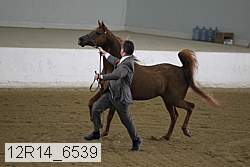 12r14_6539 proof
